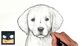 How To Draw a DOG | GOLDEN LAB PUPPY | Sketch Saturday
