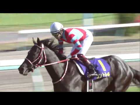 2020 Satsuki Sho (Japanese 2000 Guineas) (G1)
