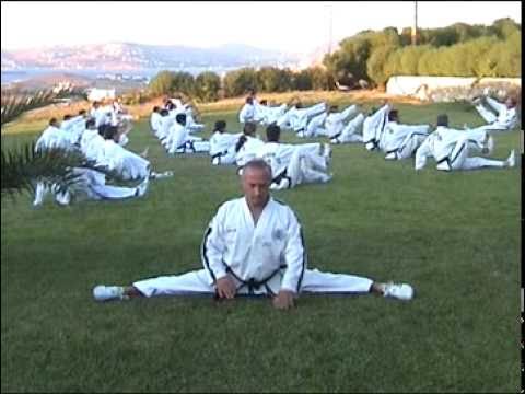 Taekwon-do ITF Master Vasilis Alexandris Stretching Exercises