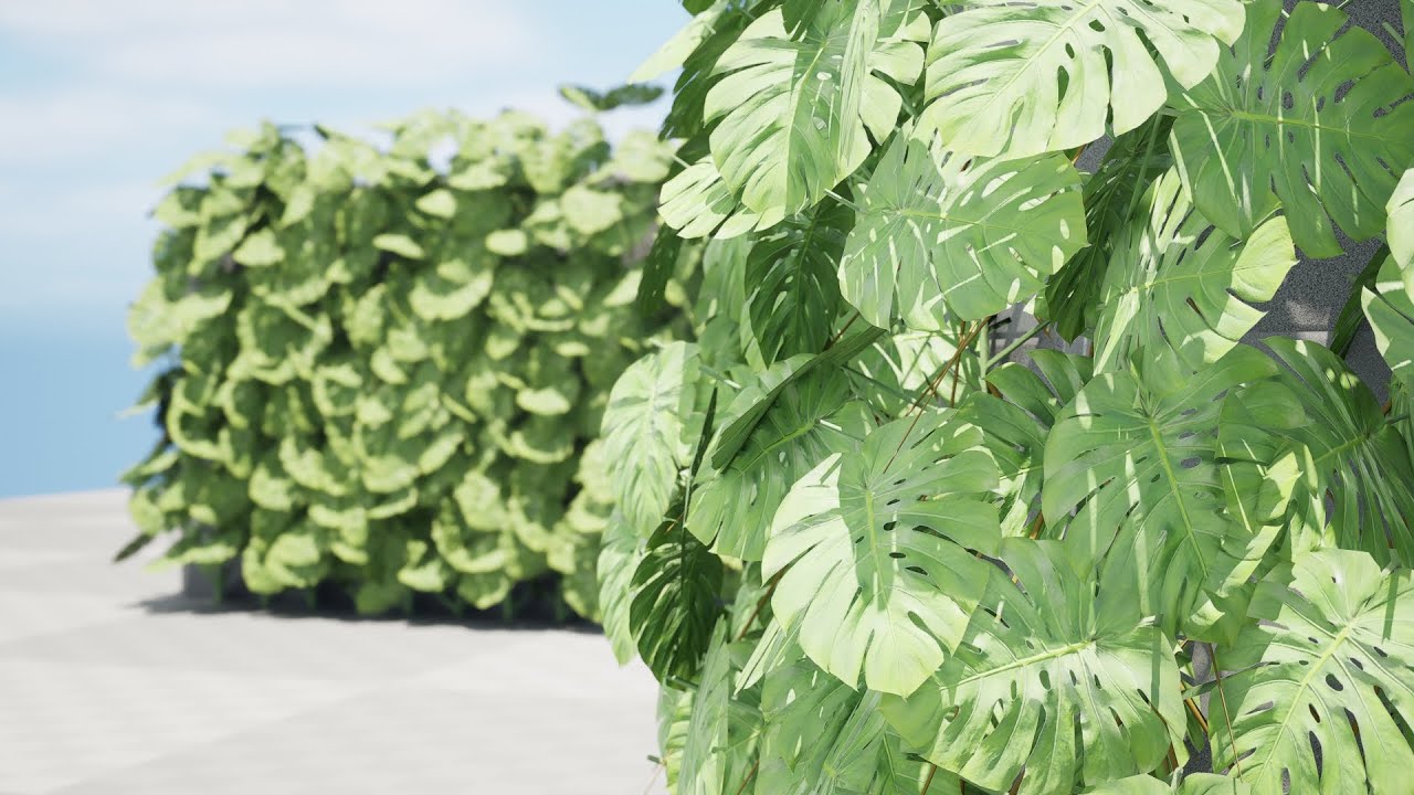 Pianta rampicante svizzera Greenwall Modello 3D