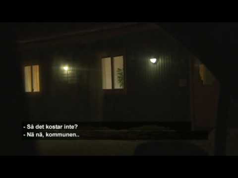 Vellingemoderaterna om partipiskan - Uppdrag granskning