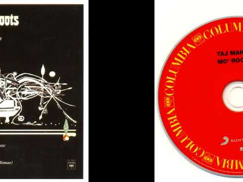 Taj Mahal.......MO' ROOTS