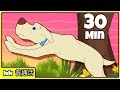 Bingo Dog Song More Chinese Nursery Rhymes 童谣 HooplaKidz Mandarin