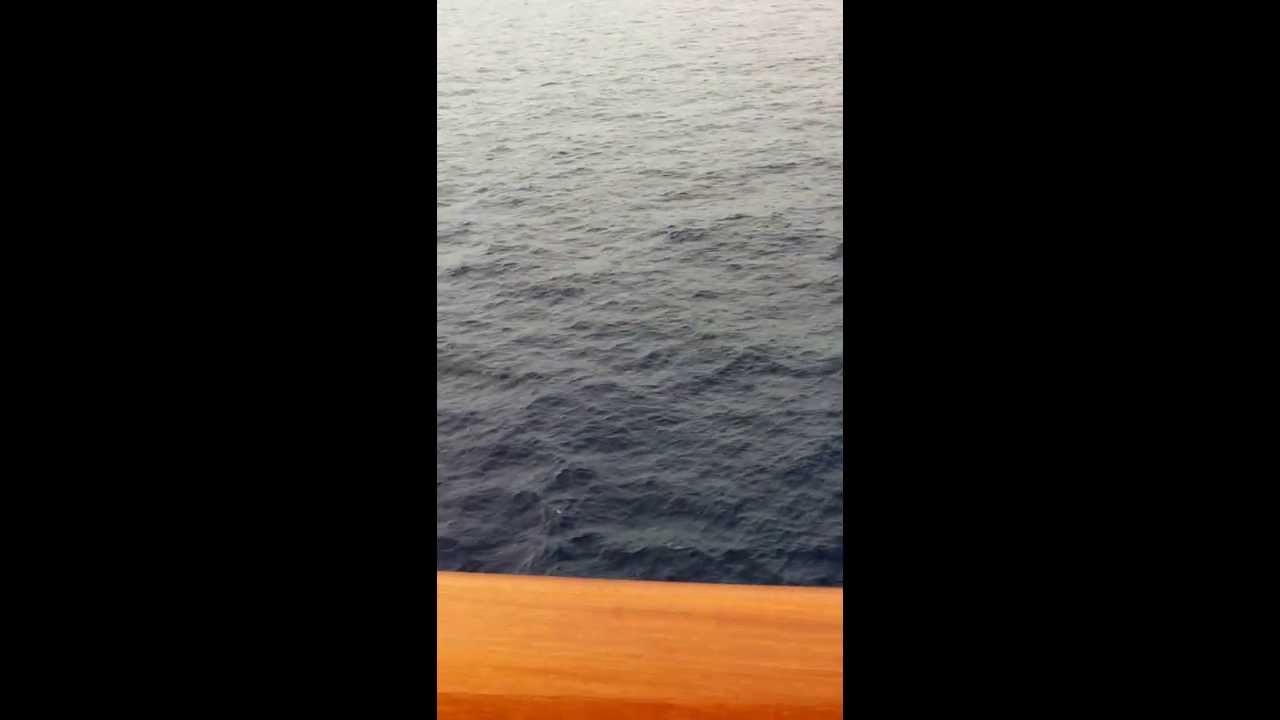 Carnival Magic - Cabin 8466 - Video 1