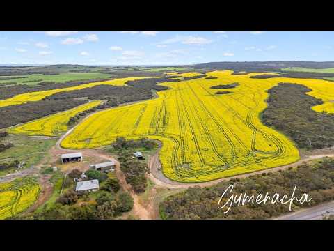 8765 Flinders Highway, Mount Hope, SA 5607, 0 Bedrooms, 0 Bathrooms, Lifestyle Property