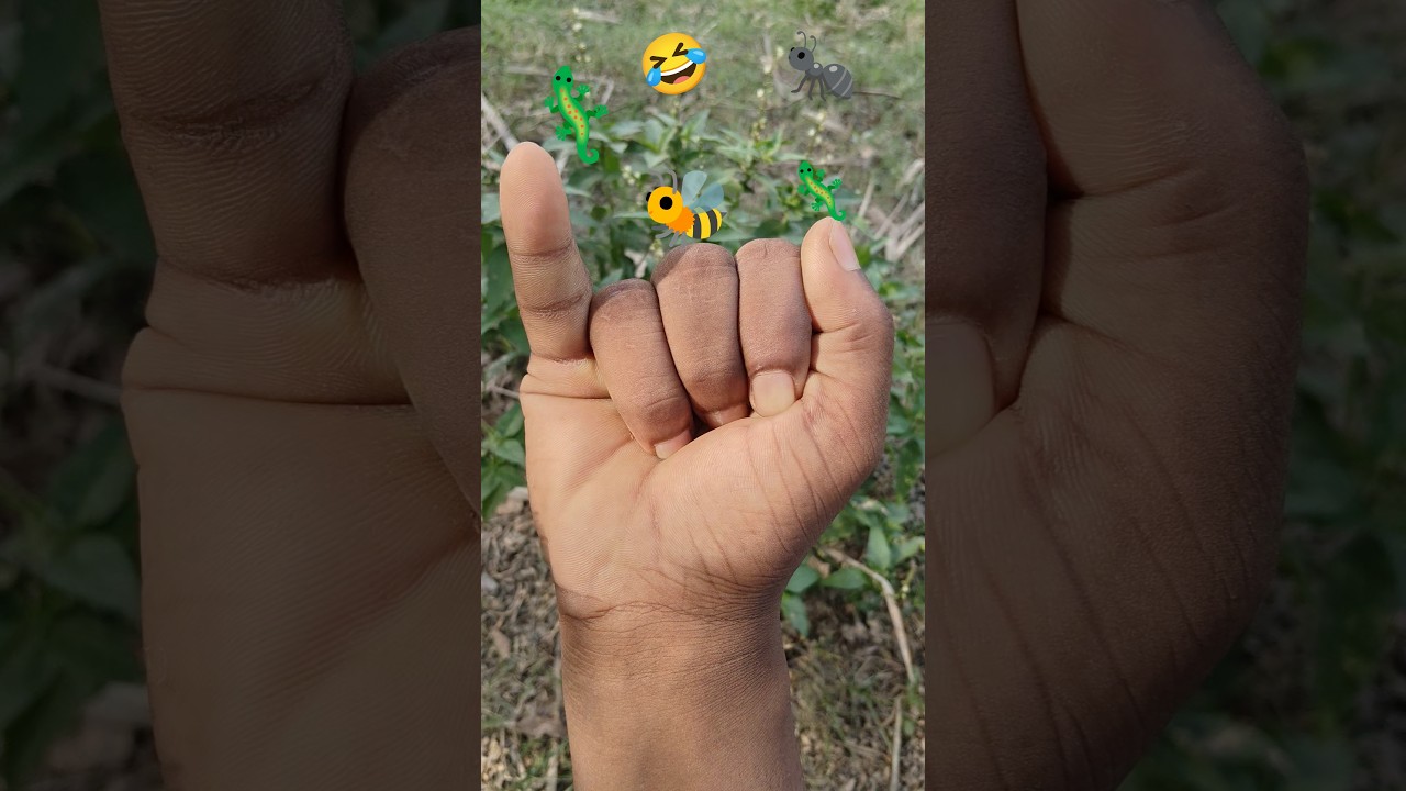 is the Smaller shiny jewel beetleYp-0781 #beautifulinsects #nature #anyuniqueanimals