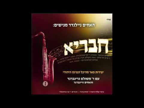 Dynov melody | ניגון דינוב