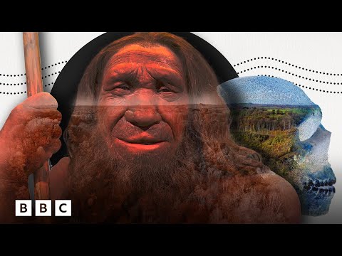 Neanderthal 1: The discovery that rewrote history | BBC Global