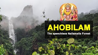 Ahobilam - The Unseen Beauty of Nallamalla Forest | Ugra Stambha | Nallamalla Forest
