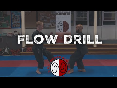 Karate Flow Drill