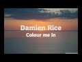 Damien Rice - Colour Me In (Lyrics)