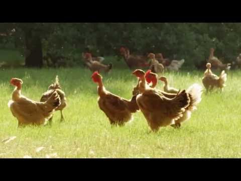 Le Label Rouge par St SEVER