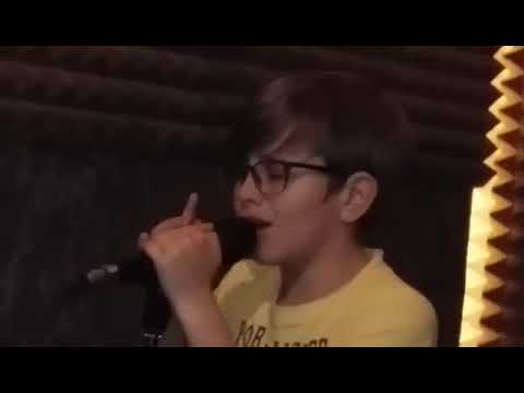 David Adrian Stefan Se incarca