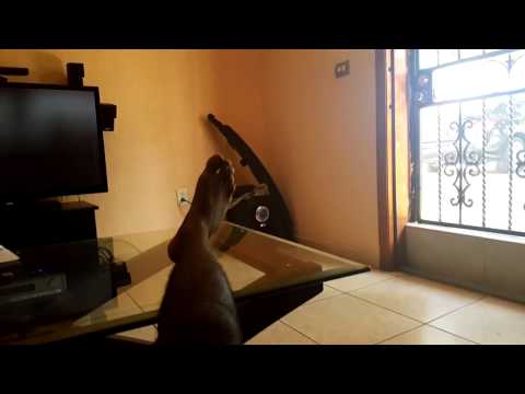 Dj Jah's live broadcast - Wed Sep 02 13:17:05 EDT 2015