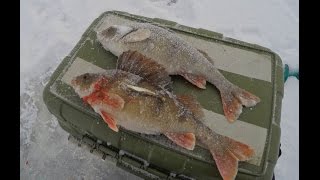 Зимняя рыбалка на озера ильмень