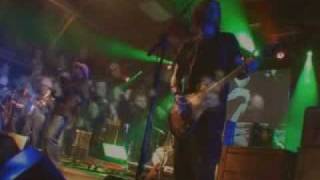 Bestival 2004 The Bees &#39;Chicken Payback&#39;