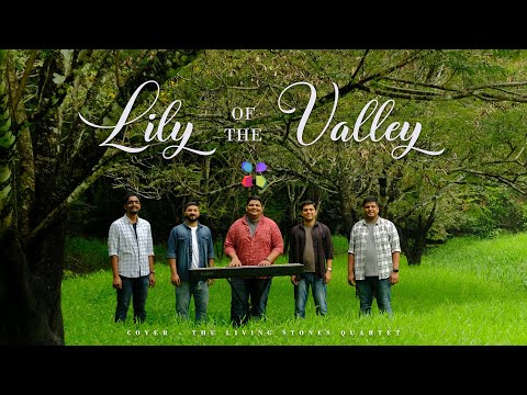 LILY OF THE VALLEY | THE LIVING STONES QUARTET #thelsq