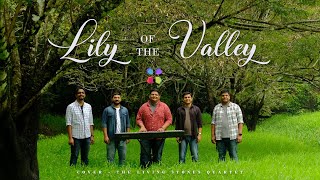 LILY OF THE VALLEY | THE LIVING STONES QUARTET #thelsq