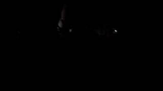 Sam Adams - Lion&#39;s Den