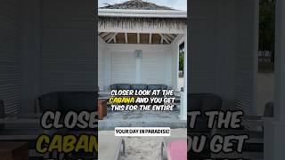 Ocean Cay Cabana Review & Tour - Is the MSC Cabana Worth It? - Ocean Cay MSC Marine Reserve