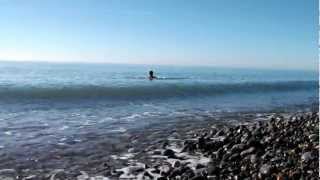 preview picture of video 'поздравление с НГ купание в море'