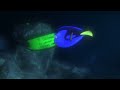 Finding Nemo Anglerfish Chase With Cartoon SFX Remake