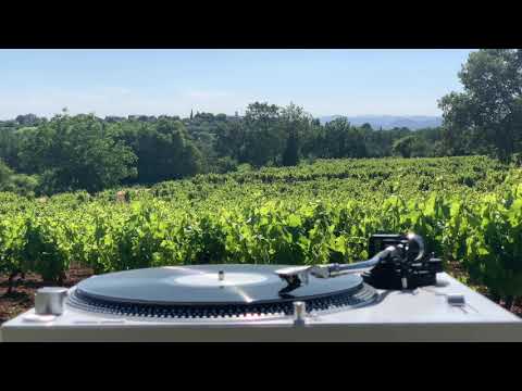 Jay Tripwire feat. Boddhi Satva - Dema (Delano Smith Transit Dub)