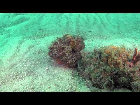 download lagu mp3 mp4 Numbray, download mp3 Numbray free download mp3, download mp3 Numbray