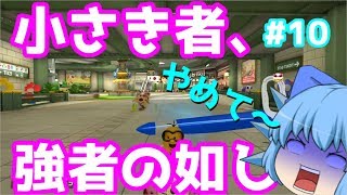 【ゆっくり実況】小さき者、強者の如し　チルノがゆく⁂10【マリオカート８DX】