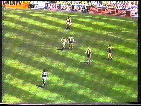 1987 Reserves GF