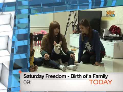 [Today 2/11] Saturday Freedom - Birth of A Family
