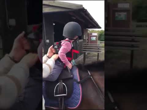 AJ Riding
