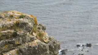 preview picture of video 'Houns-Tout on Jurassic Coast Purbeck'