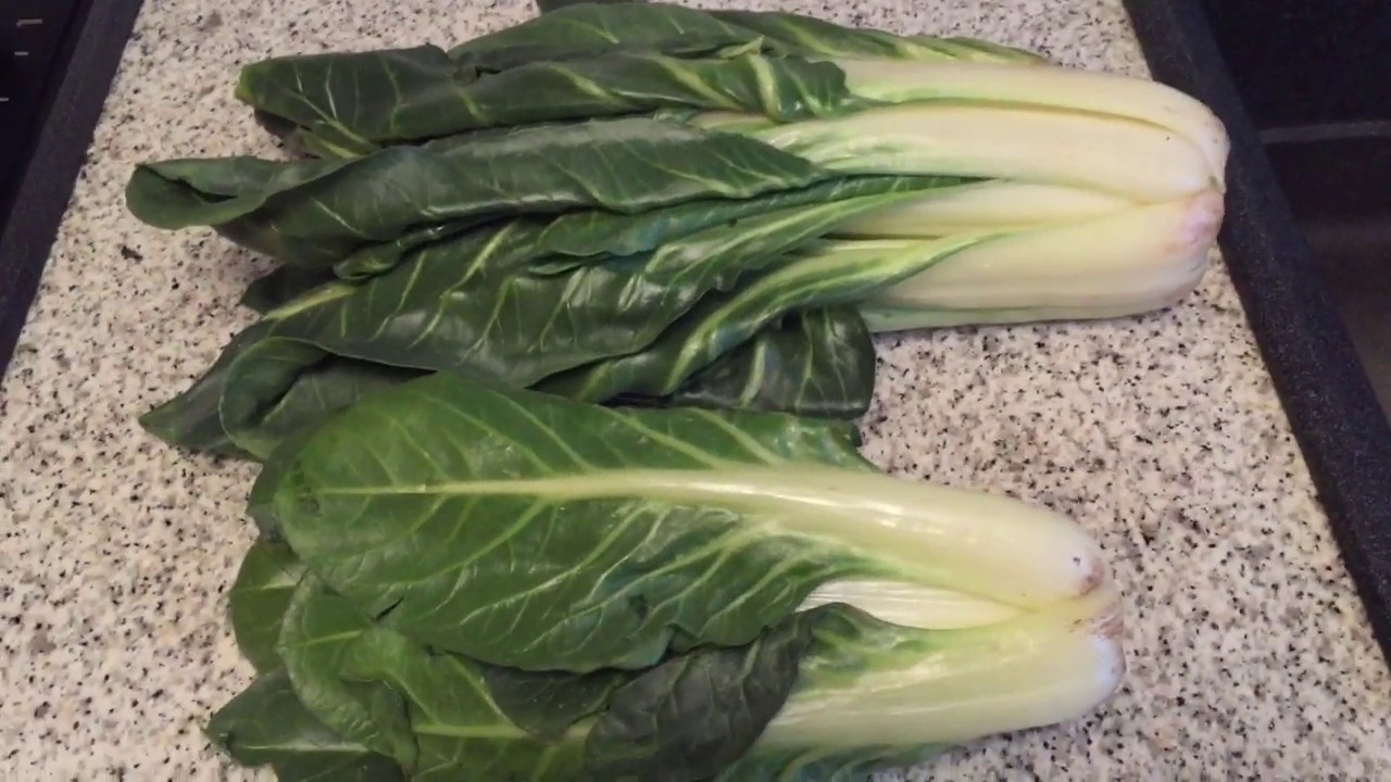 Come cucinare coste in pentola a pressione