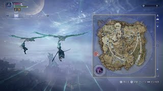 常夜マリス(260419_01_通常_貪接ぎ木の君主-神肌の使途)ELDEN RING NIGHTREIGN_20260419175450