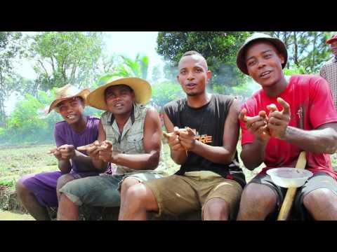 KAPEPEKY - FANDRIAKA