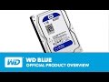 Western Digital Harddisk WD Blue 3.5" SATA 1 TB