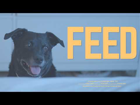 FEED - Short Film (2026)