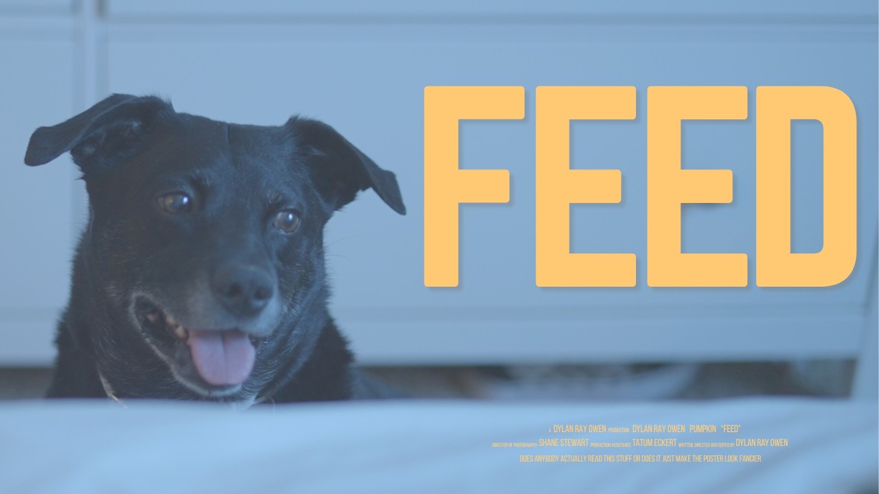 Miniature de la vidéo FEED - Short Film (2026) du film FEED