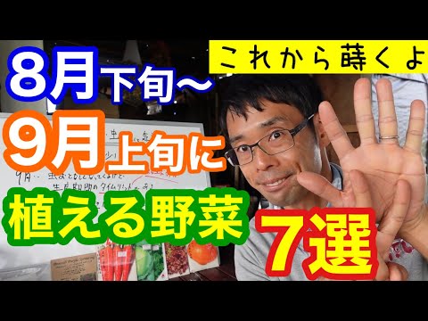  9月に植える野菜は何ですか？  庭園
