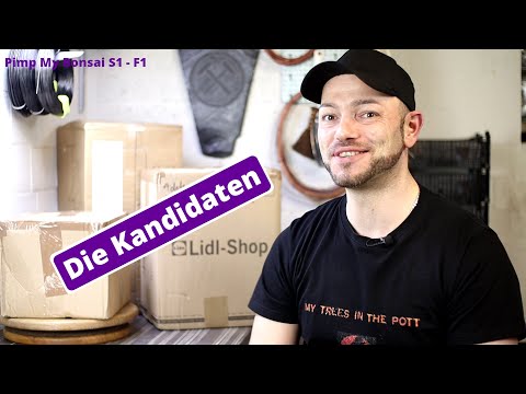 Die Kandidaten Bäume, welche nun auf dem Weg zum Solitär Bonsai sind 😉! [Folge 1] | PMB Staffel 1