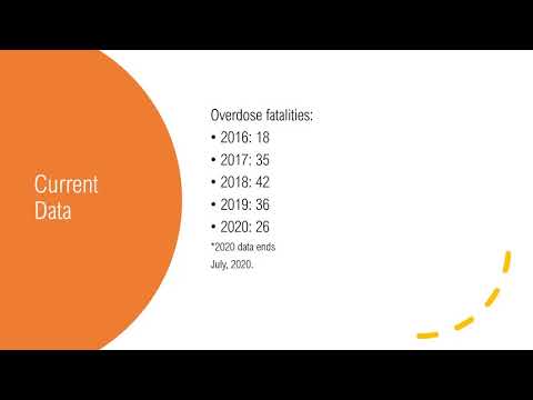 Do No Ham Series: Casey Pitock Project Dawn