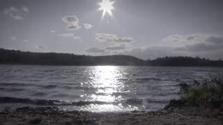 Whitewoods - Beachwalk (Unofficial Music Video)