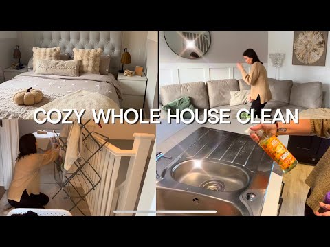 Rainy day whole  house clean with me / cleaning motivation 