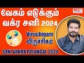 Sani Vakra Palangal 2024 | Viruchigam Rasi | சனி வக்ர | June 29th to Nov 15th | Life Horoscope