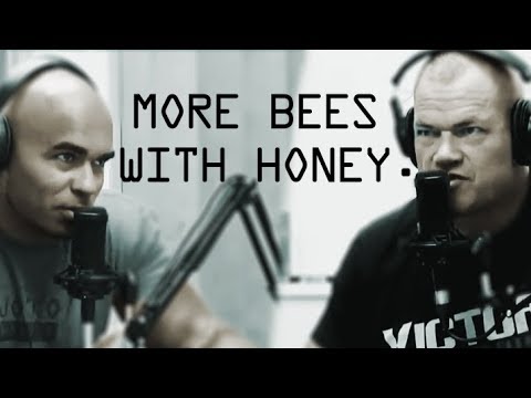 download lagu mp3 mp4 More Bees With Honey, download mp3 More Bees With Honey free download, download mp3 More Bees With Honey