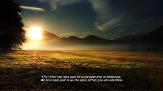 Sheikh Moutasem Al-Hameedi Surah  Al-Hadidشيخ معتصم الحميدي  صوره الكهف