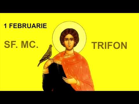 Sfântul Mucenic Trifon [1 Februarie] - ORTODOX