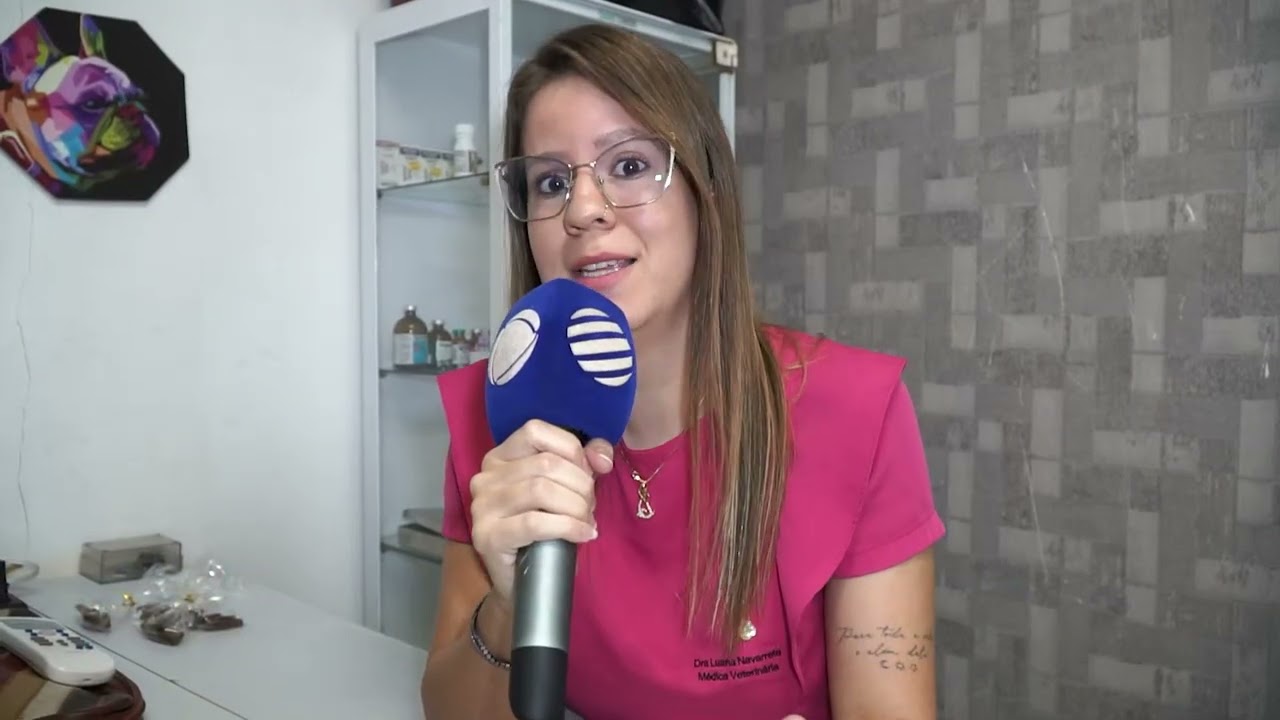 Mercado Pet de Luxo Cresce: Vaidade ou Bem-Estar Animal? Especialistas Falam!