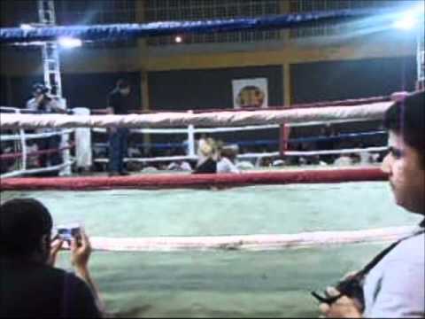 Tubarão Black Shark x Sorriso